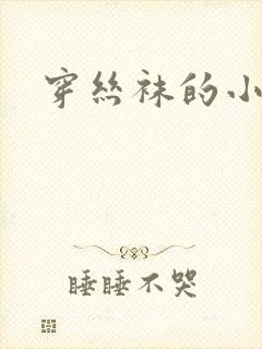 穿丝袜的小说封面