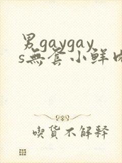 男gaygays无套小鲜肉网站网站