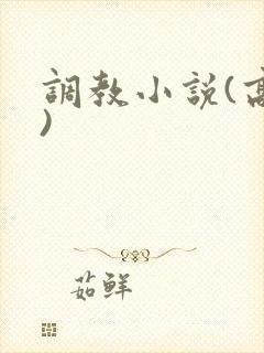 调教小说(高h)