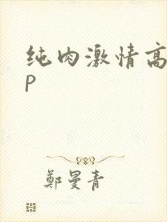 纯肉激情高hnp