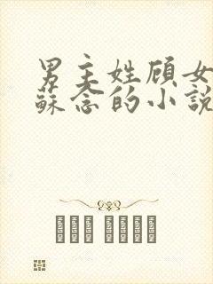 男主姓顾女主叫苏念的小说名封面