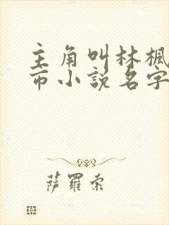 主角叫林枫的都市小说名字