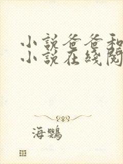 小说爸爸和女儿小说在线阅读