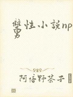 双性小说np双男