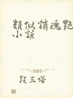 类似销魂艳婢的小说