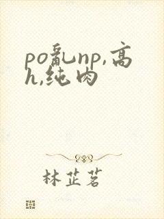po乱np,高h,纯肉