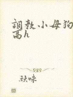 调教小母狗小说高h