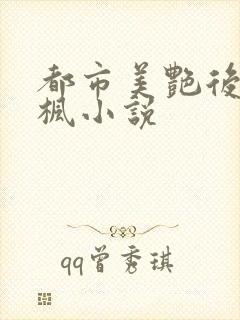 都市美艳后宫唐枫小说