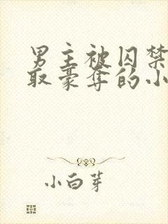 男主被囚禁被强取豪夺的小说笔趣阁