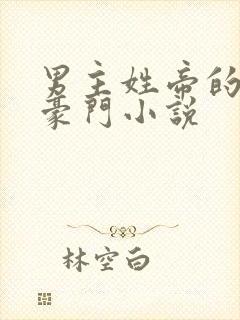 男主姓帝的现代豪门小说