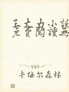 王大力小说小说免费阅读无弹窗