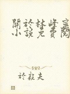 关于林峰宁欣的小说免费阅读