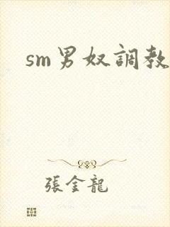 sm男奴调教文封面