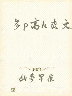 多p高h爽文