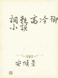 调教高冷御姐h小说