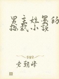 男主姓墨的霸道总裁小说