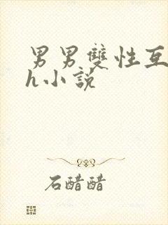 男男双性互攻高h小说