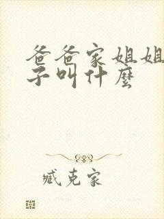 爸爸家姐姐的儿子叫什么