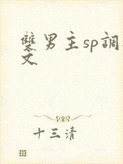 双男主sp调教文封面