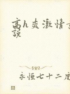 高h爽激情黄小说封面