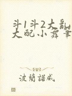 斗1斗2大乱斗大配小舞笔趣阁封面