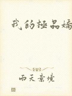 我的极品娇妻