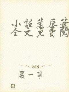 小说叶辰萧初然全文免费阅读最新章节封面