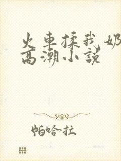 火车揉我奶啊嗯高潮小说