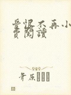 爱恨不再小说免费阅读