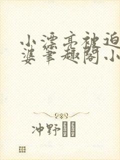 小漂亮被迫当老婆笔趣阁小说最新章封面