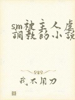 sm被主人虐玩调教的小说封面