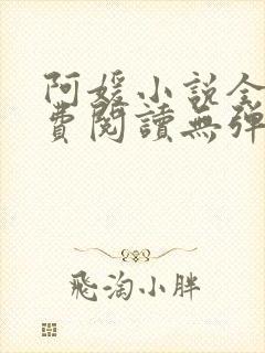 阿媛小说全文免费阅读无弹窗笔趣阁