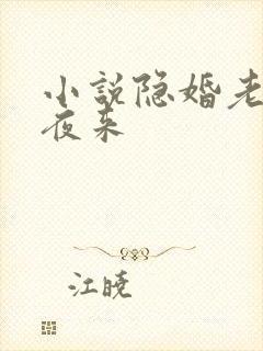 小说隐婚老公深夜来