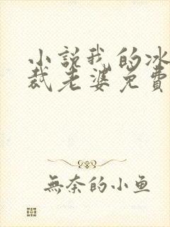 小说我的冰山总裁老婆免费阅读封面