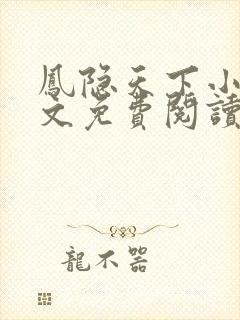 凤隐天下小说全文免费阅读封面