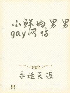 小鲜肉男男同性gay网站