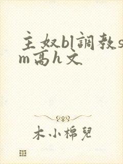 主奴bl调教sm高h文