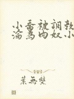 小乔被调教喷水沦为肉奴小说封面