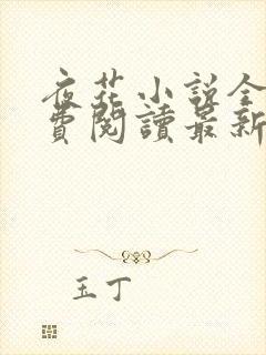 夜花小说全文免费阅读最新章节