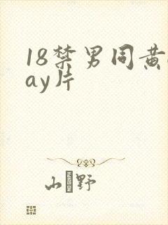 18禁男同黄gay片