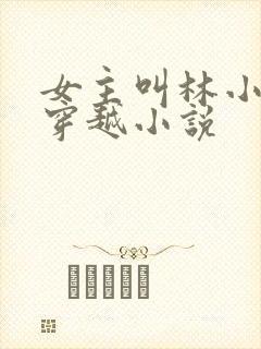 女主叫林小渔的穿越小说