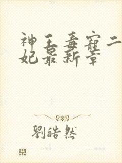 神王毒宠二嫁王妃最新章封面