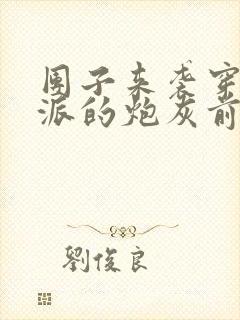 团子来袭穿成反派的炮灰前妻