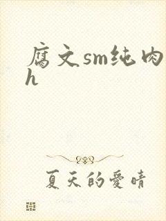 腐文sm纯肉高h