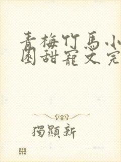 青梅竹马小说校园甜宠文完结封面