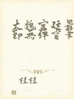 大魏宫廷最新章节无弹窗笔趣阁