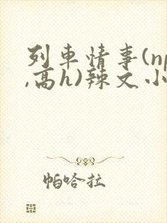 列车情事(np,高h)辣文小