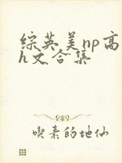 综英美np高辣h文合集封面