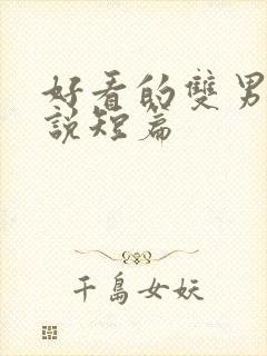 好看的双男主小说短篇