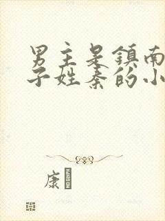 男主是镇南王世子姓秦的小说